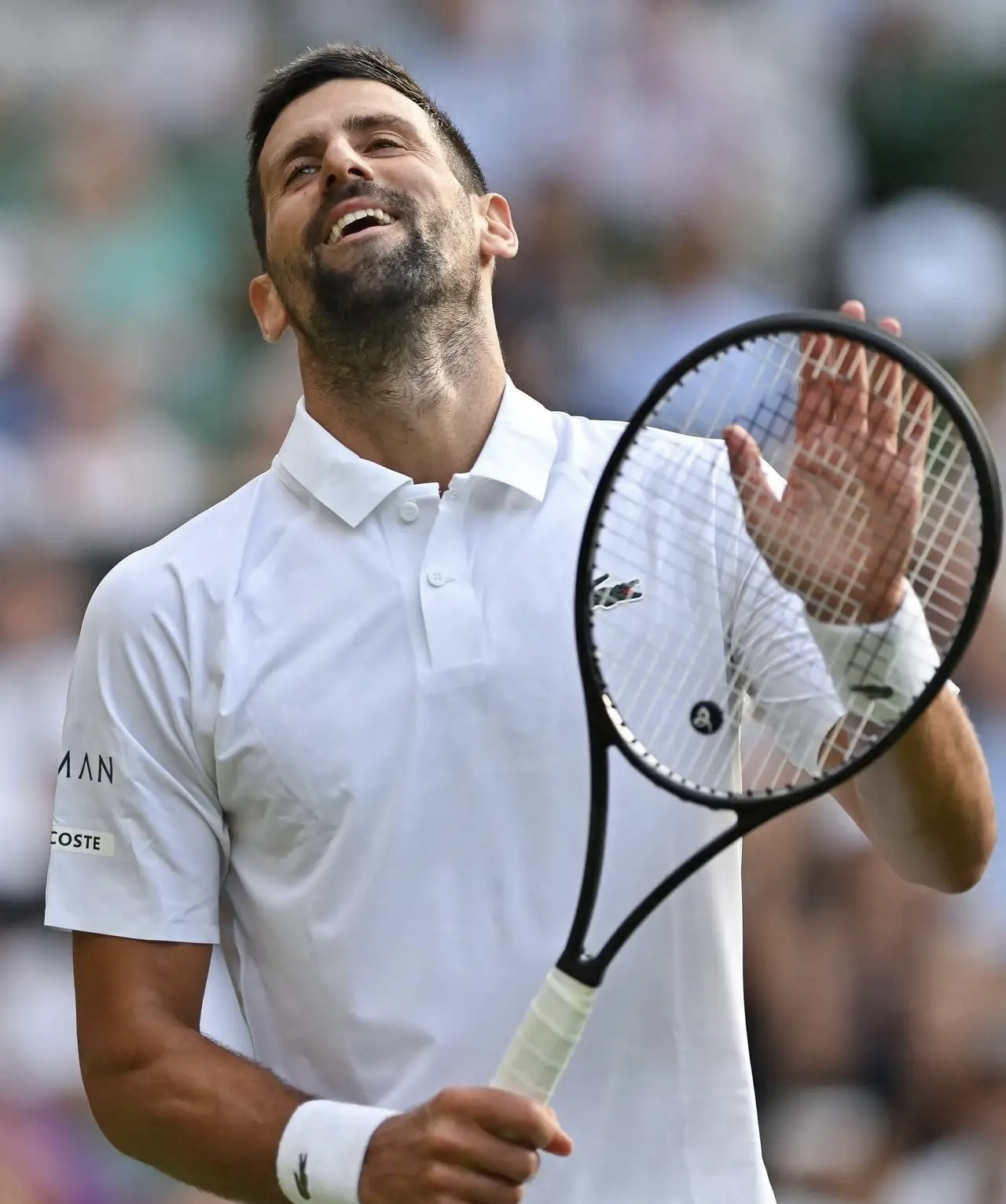 开云下载-法网完胜温网，德约科维奇惊艳四座