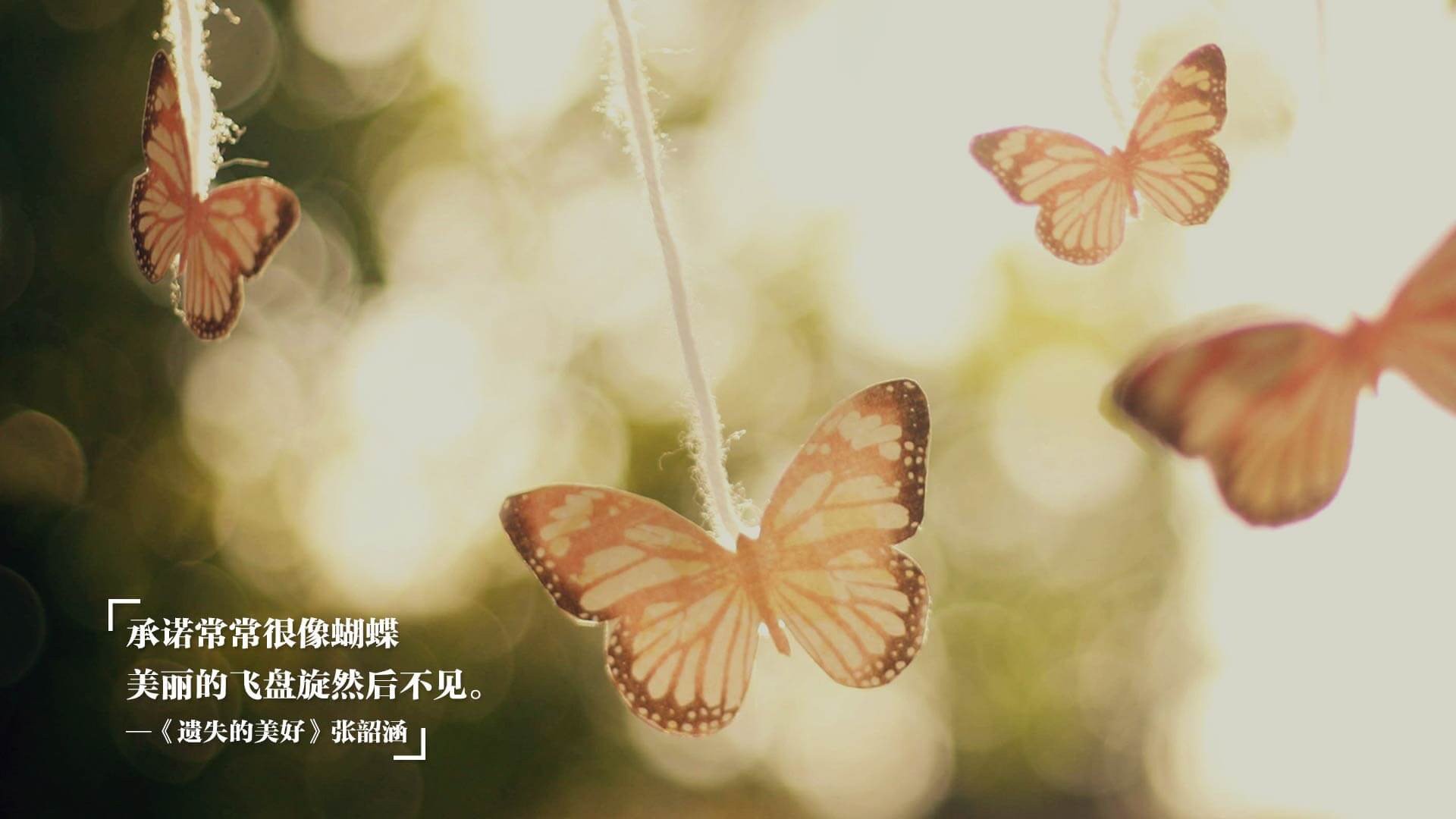 两河流域的呐喊,伊拉克绝境逆转南美红潮