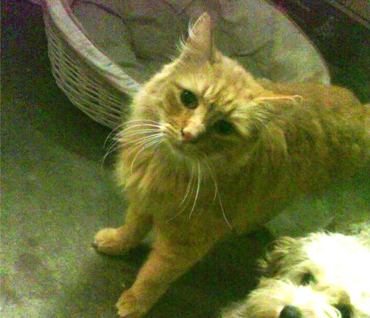 双王对决,当心跳归零,保罗推开时空之门