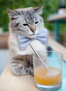 唯一性战术剖析马丁内利，当佛罗伦萨的红色，终结了阿根廷的蓝白幻象