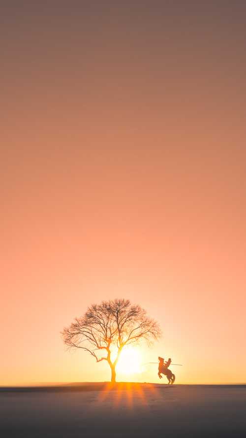 命运交叉之夜,维斯塔潘赛道封王,米切尔球场狂飙71分