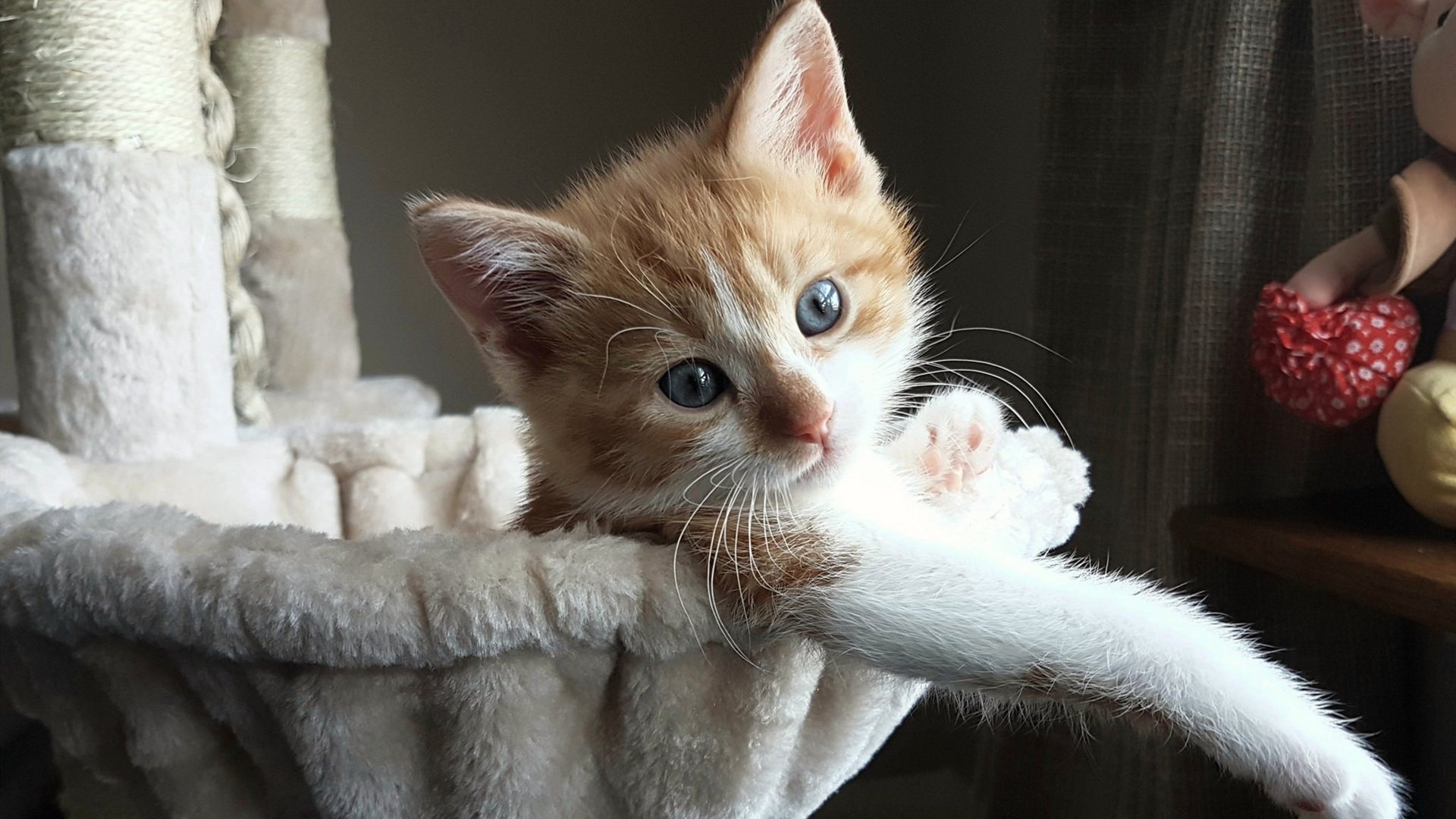 季后赛抢七之夜,杜兰特数据全面爆炸,谱写篮球神迹独角戏