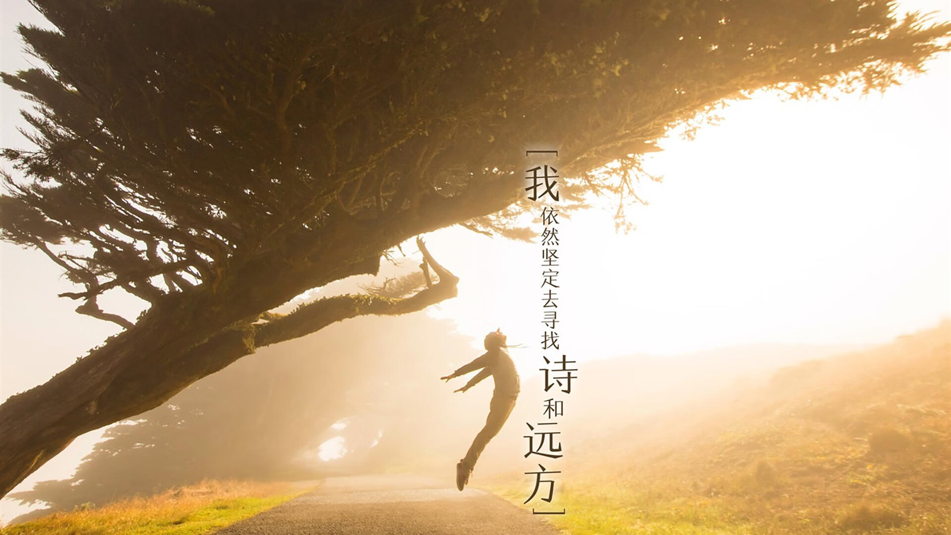 双重奏，巨星与雄狮共舞绿茵