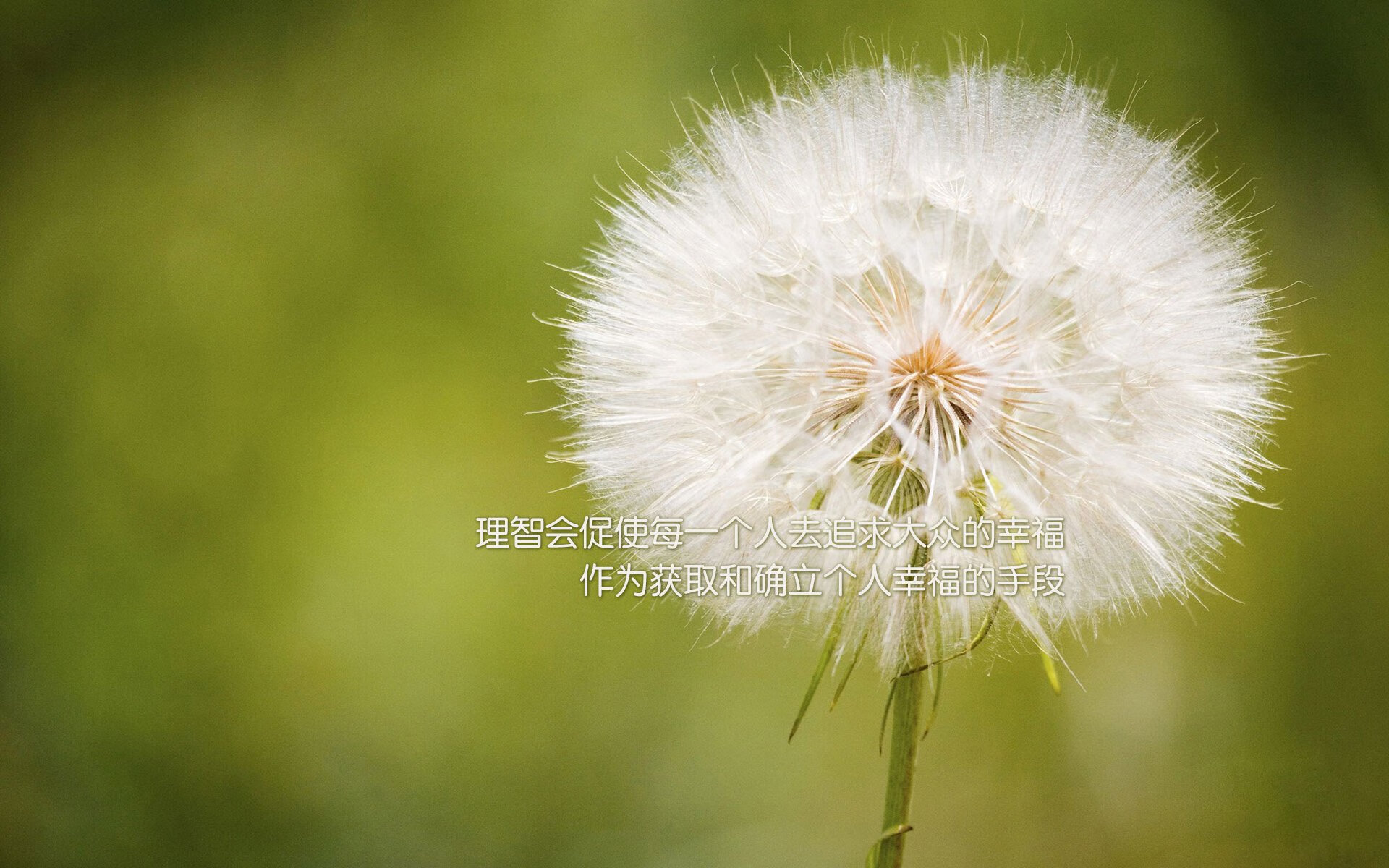 非对称进化,英格拉姆的里程碑之夜与布鲁克林的关键密码