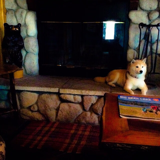 当足球之夜闪耀篮球之星,哈利伯顿的跨界压制级表演