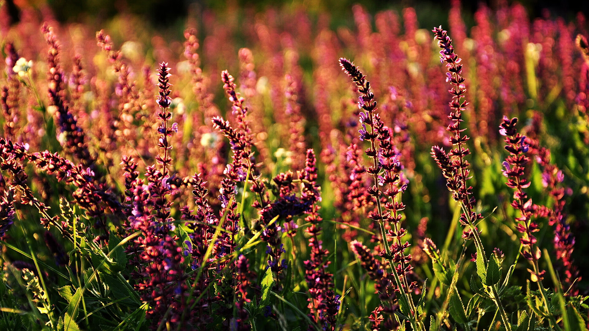 绝杀与接管,纽约和洛杉矶的两种英雄叙事