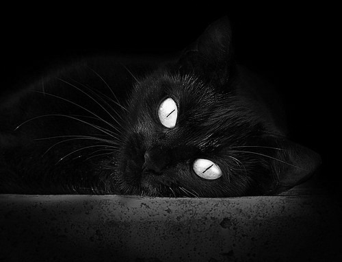 开云官网-欧冠英雄跨界救主!金玟哉NBA总决赛之夜用脚改写篮球历史