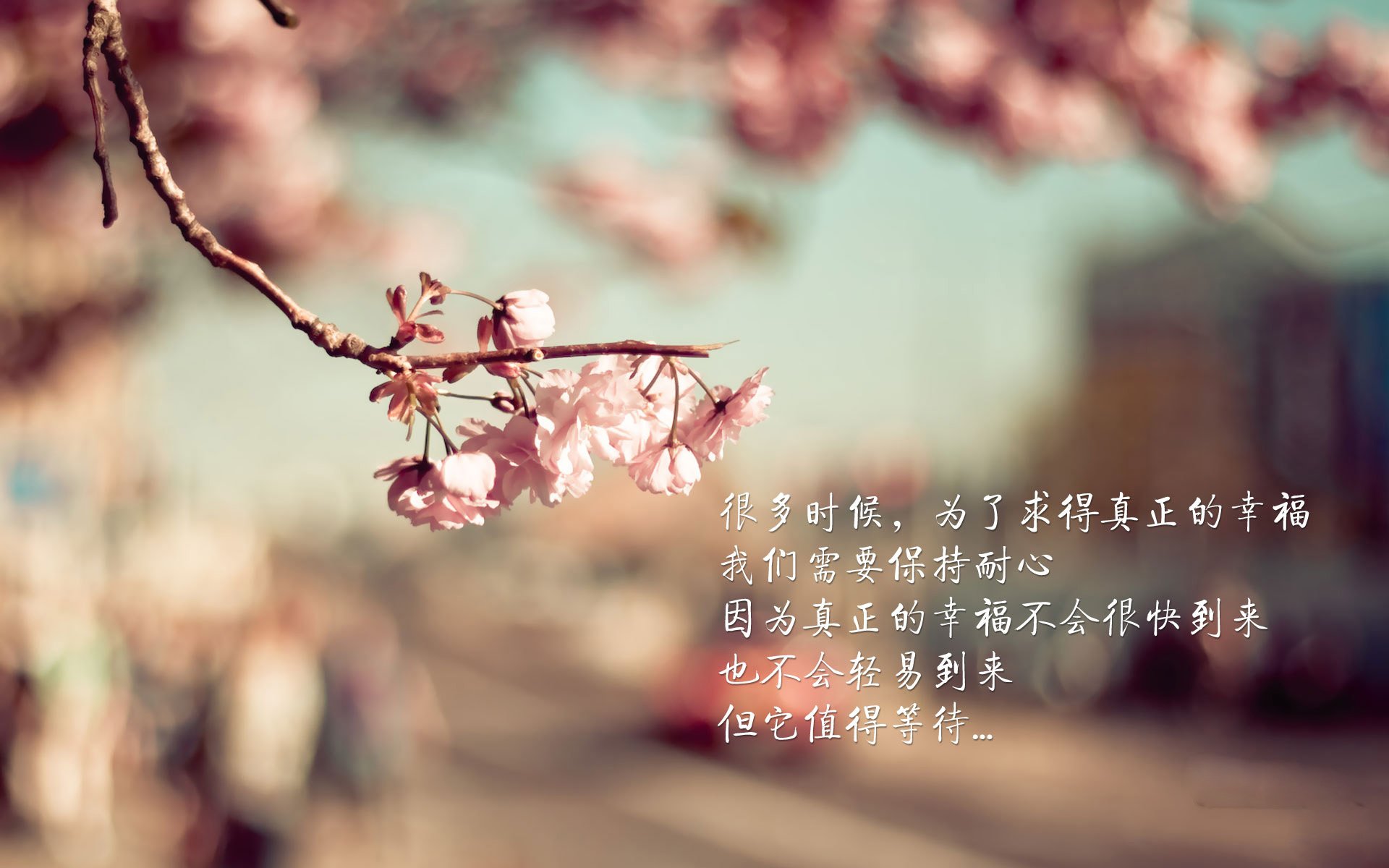 106年等一回，当欧冠决赛邂逅邦交战，洪都拉斯力克摩纳哥引爆足球史最独特篇章