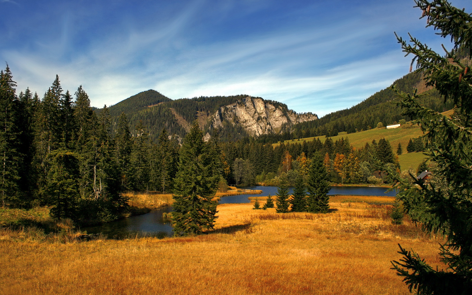 沙漠雄鹰跨越安第斯天堑，托尼终场绝杀书写足球史诗