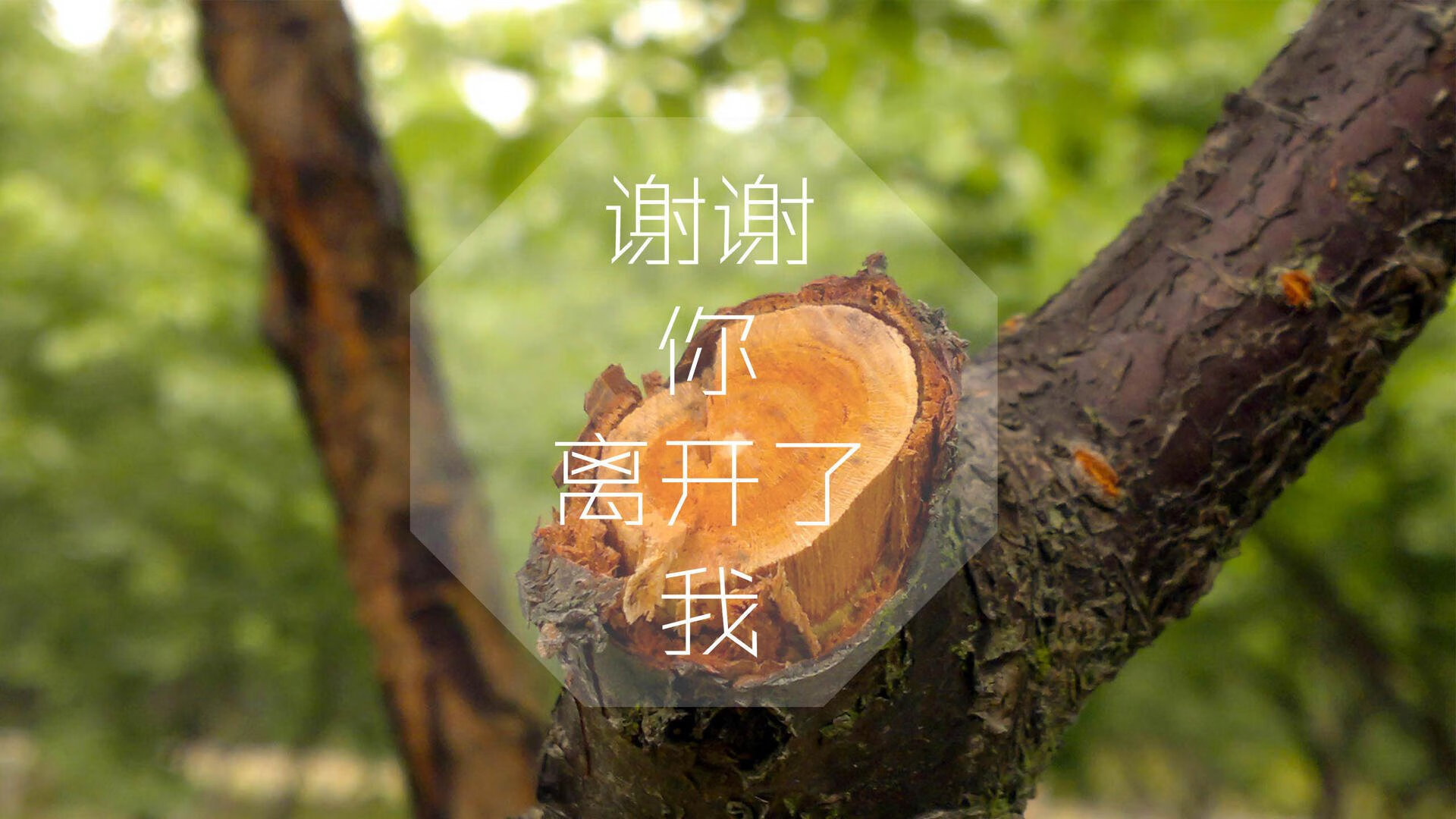 轮回之刃,2026世界杯,当历史在阿诺德脚下重演,意大利完胜加拿大书写宿命新章
