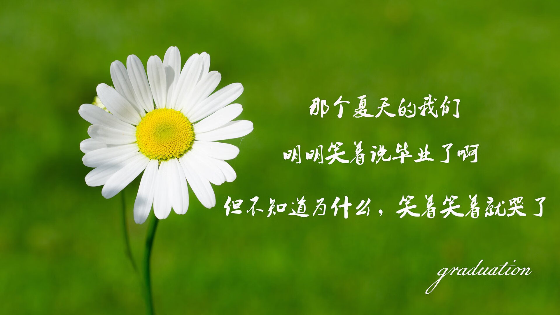 北欧风暴中的东欧铁骑,2026世界杯D组关键战,斯洛伐克力克挪威,萨卡带队书写唯一传奇
